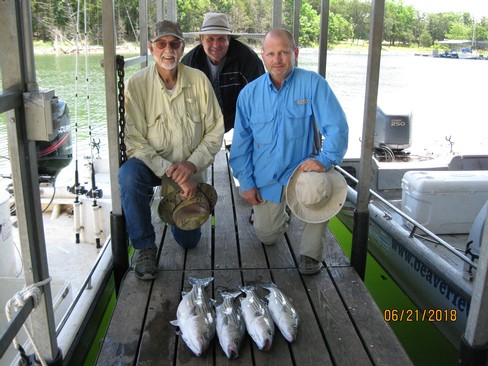Nice Striped Bass